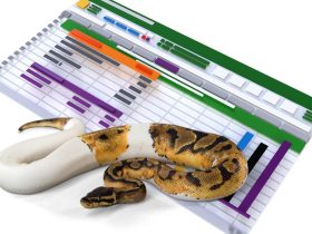 Python and Excel for CAGR