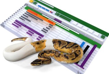 Best Spreadsheet Software in 2026: 10 Grids for Everything From Budgets to Big Data 8 Python and Excel for CAGR