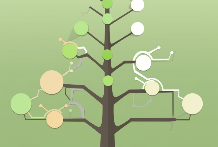 Decision Trees for Classification and Regression