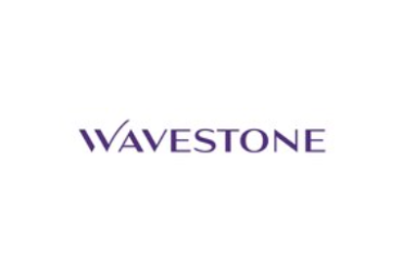 Wavestone Releases 2024 Data and AI Leadership Executive Survey 5