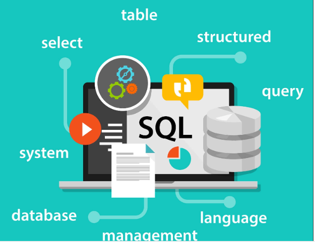Resources for Data Scientists Master SQL