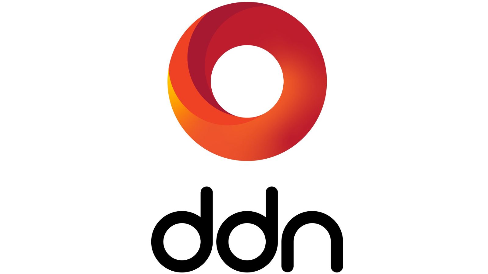 DDN logo