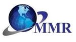 mmr logo