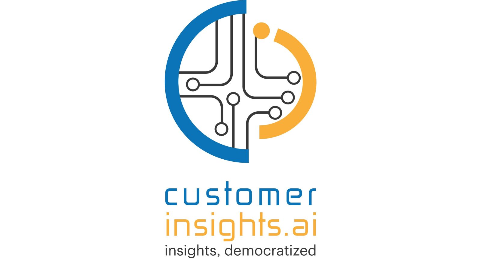 customer insight logo