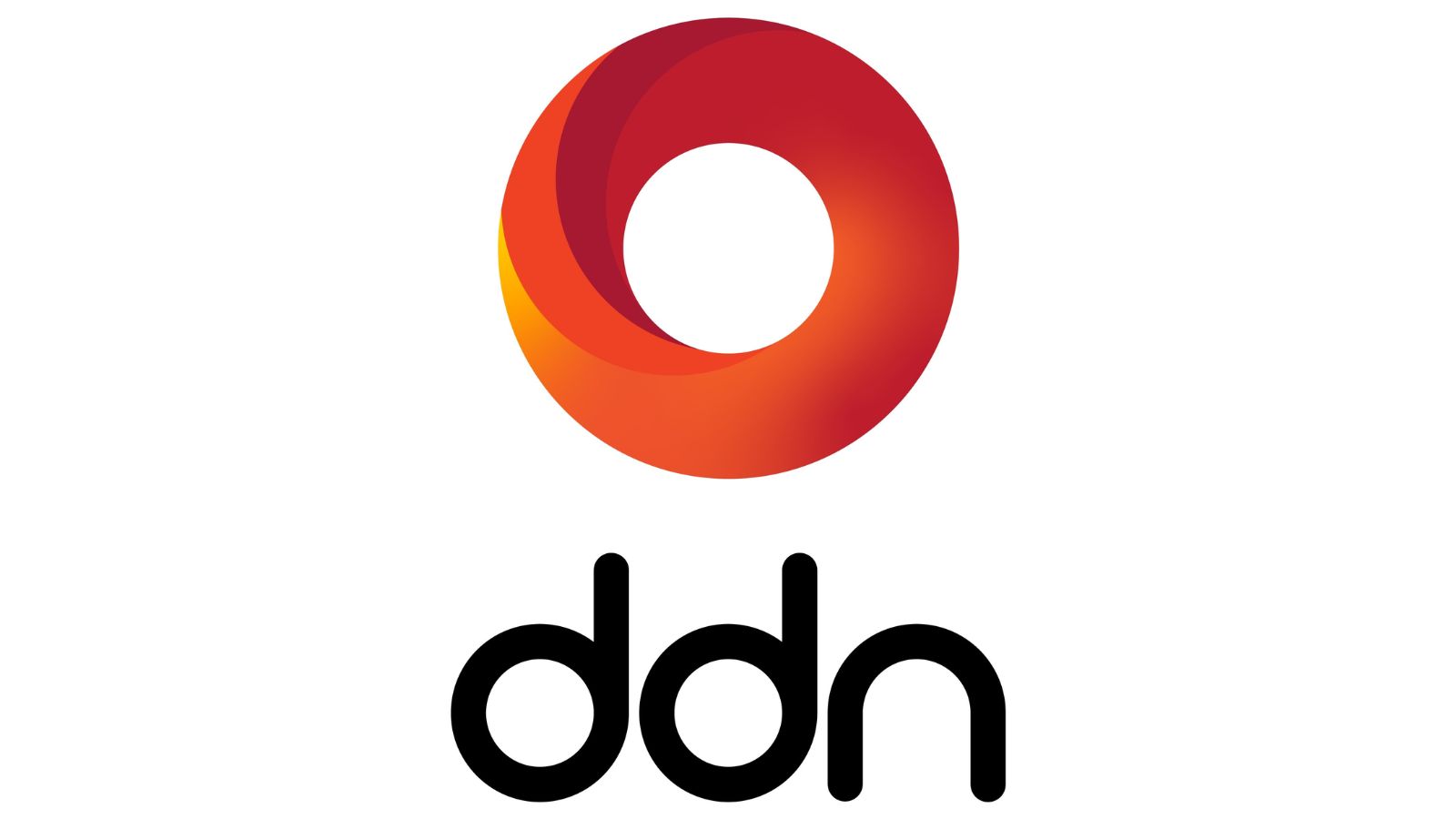 ddn logo