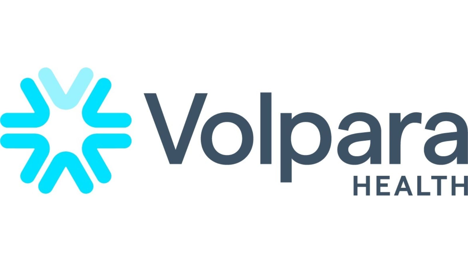 volpara logo