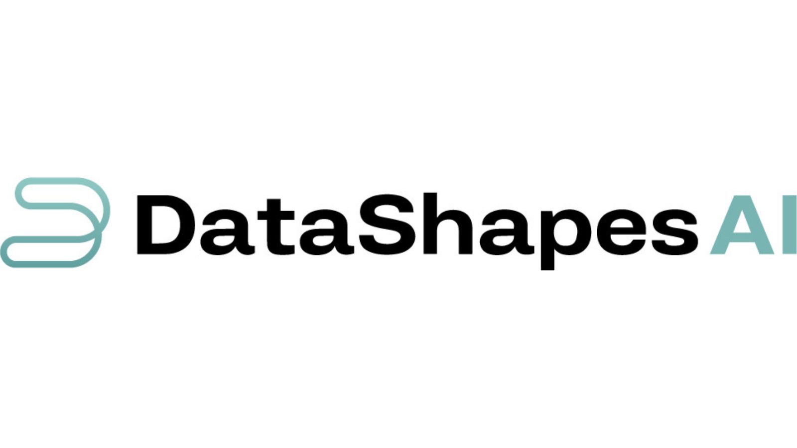 datashapeAI logo