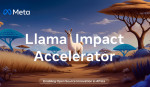 llama accelerator