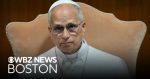 artificial intelligence risks - Pope Leo Issues Urgent Warning on Artificial Intelligence Risks