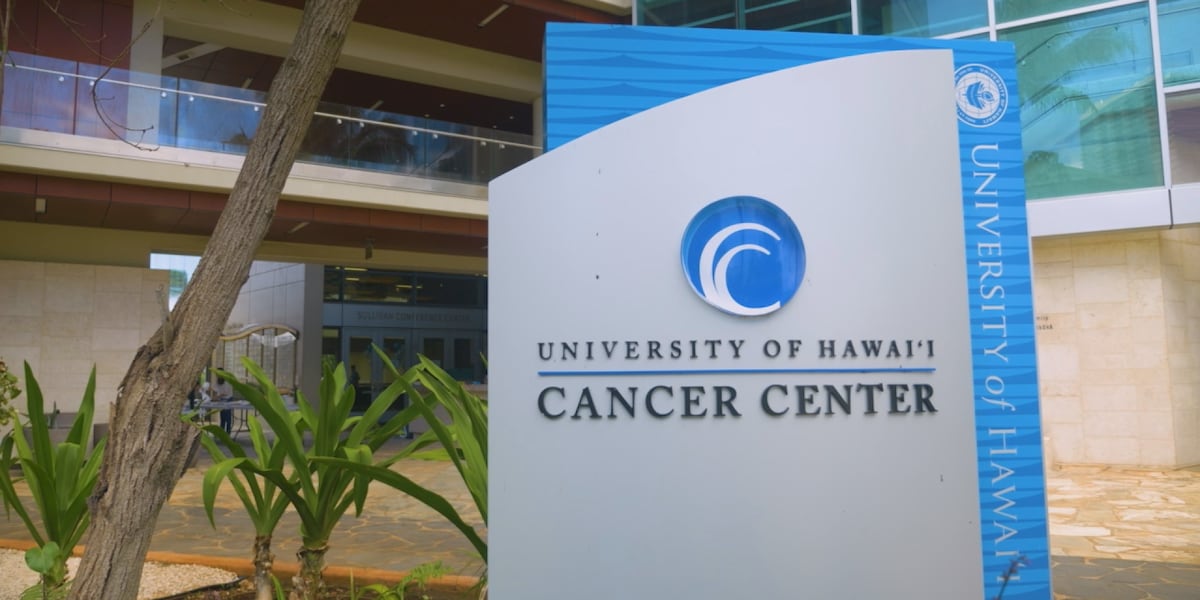 artificial intelligence in healthcare - UH Awarded $12M Grant for New Medical AI Research Center
