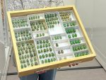AI in entomology - How AI Is Transforming Entomology: 5 Key Use Cases in 2026